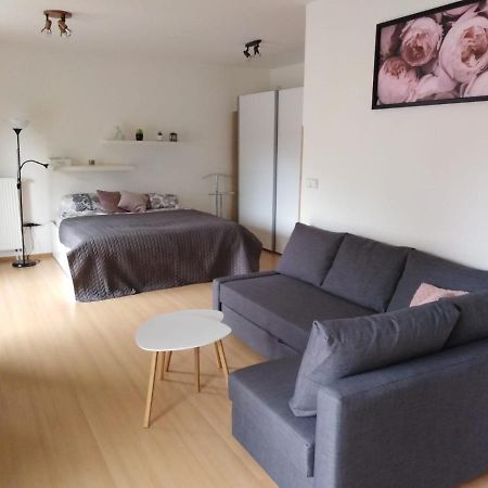 Apartment Archa Подєбради Екстер'єр фото