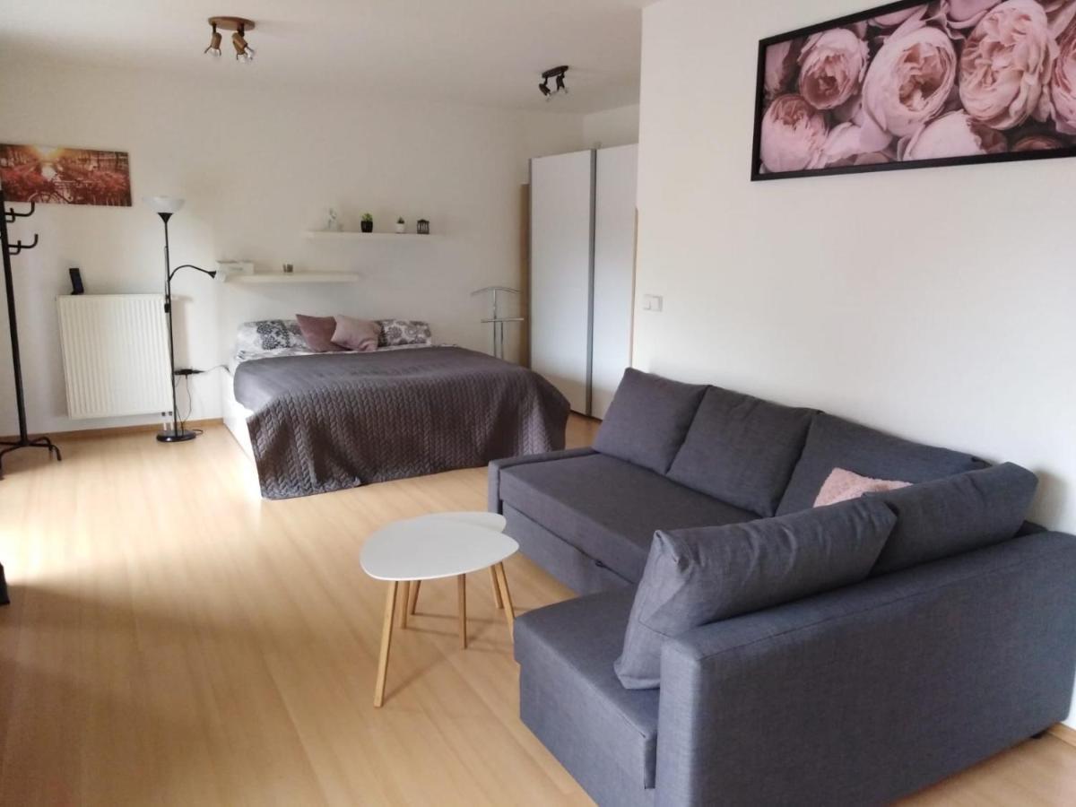 Apartment Archa Подєбради Екстер'єр фото